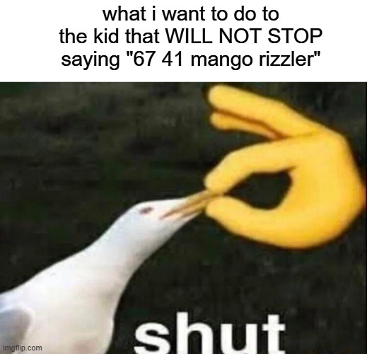 SHUT | what i want to do to the kid that WILL NOT STOP saying "67 41 mango rizzler" | image tagged in shut | made w/ Imgflip meme maker