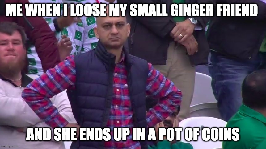 gingers | ME WHEN I LOOSE MY SMALL GINGER FRIEND; AND SHE ENDS UP IN A POT OF COINS | image tagged in arms crossed | made w/ Imgflip meme maker