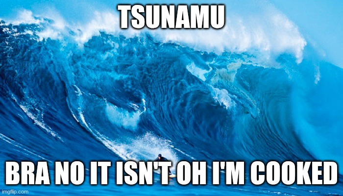 Tsunami Surfer | TSUNAMU; BRA NO IT ISN'T OH I'M COOKED | image tagged in tsunami surfer | made w/ Imgflip meme maker