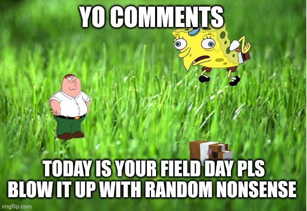 Field day | YO COMMENTS; TODAY IS YOUR FIELD DAY PLS BLOW IT UP WITH RANDOM NONSENSE | image tagged in grass is greener | made w/ Imgflip meme maker
