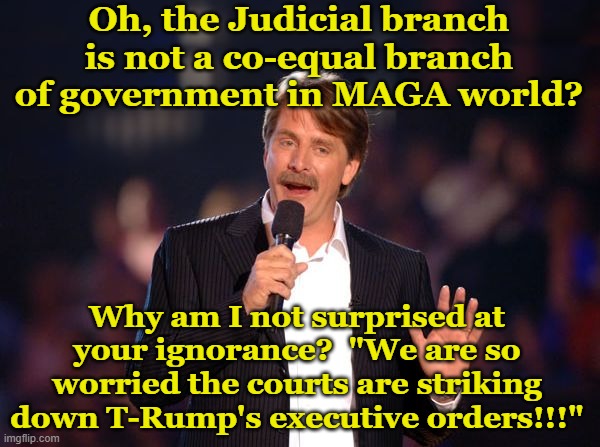Jeff Foxworthy | Oh, the Judicial branch is not a co-equal branch of government in MAGA world? Why am I not surprised at your ignorance?  "We are so worried  | image tagged in jeff foxworthy | made w/ Imgflip meme maker