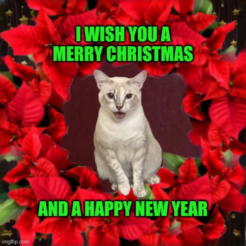 Singing  Kitty | I WISH YOU A MERRY CHRISTMAS; AND A HAPPY NEW YEAR | image tagged in christmas,cat,singing,merry christmas,happy new year | made w/ Imgflip meme maker