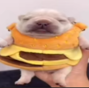 when you trying to sleep Blank Meme Template