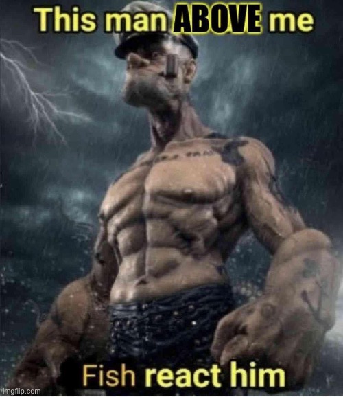 Fish react him | image tagged in fish react him | made w/ Imgflip meme maker