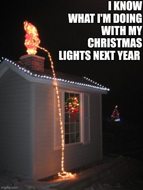 I Know What I'm Doing With My Christmas Lights Next Year | I KNOW WHAT I'M DOING WITH MY CHRISTMAS LIGHTS NEXT YEAR | image tagged in chrisjoines1 | made w/ Imgflip meme maker