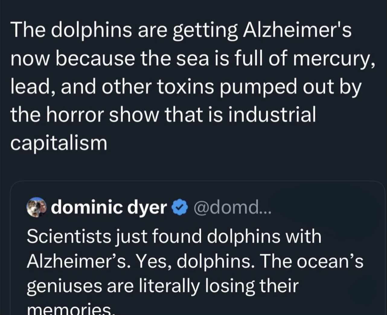 Dolphins Uncle Ted Blank Meme Template