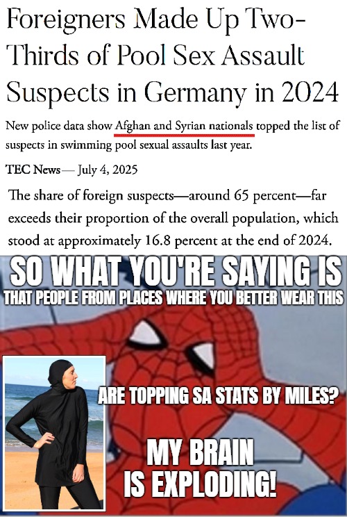 SO WHAT YOU'RE SAYING IS; THAT PEOPLE FROM PLACES WHERE YOU BETTER WEAR THIS; ARE TOPPING SA STATS BY MILES? MY BRAIN IS EXPLODING! | image tagged in frustrated spiderman,muslims,crime,sarcasm,news | made w/ Imgflip meme maker