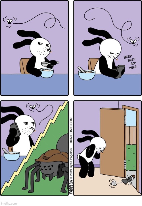 Buni Comics | image tagged in comics,buni comics,fly,spider,pest | made w/ Imgflip meme maker