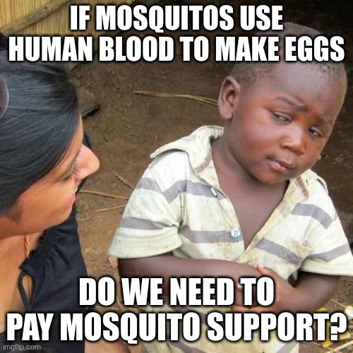 I'm not paying. | IF MOSQUITOS USE HUMAN BLOOD TO MAKE EGGS; DO WE NEED TO PAY MOSQUITO SUPPORT? | image tagged in memes,third world skeptical kid | made w/ Imgflip meme maker
