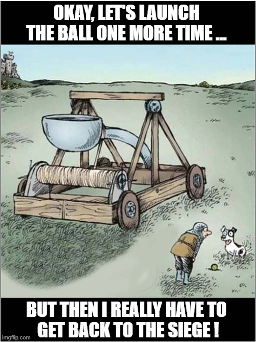 Medieval 'Fetch' ! | OKAY, LET'S LAUNCH THE BALL ONE MORE TIME ... BUT THEN I REALLY HAVE TO
 GET BACK TO THE SIEGE ! | image tagged in dogs,medieval,trebuchet,fetch,ball | made w/ Imgflip meme maker