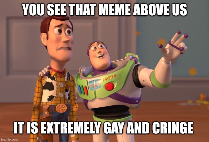 The meme above this one is gay | YOU SEE THAT MEME ABOVE US; IT IS EXTREMELY GAY AND CRINGE | image tagged in memes,x x everywhere | made w/ Imgflip meme maker