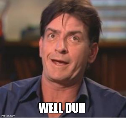 Charlie Sheen | WELL DUH | image tagged in charlie sheen | made w/ Imgflip meme maker