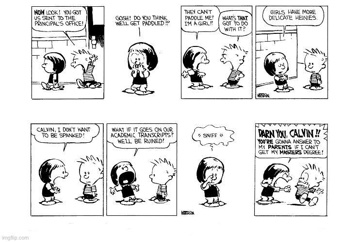 image tagged in calvin and hobbes,comics | made w/ Imgflip meme maker