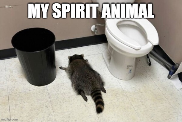 Trashed Panda | MY SPIRIT ANIMAL | image tagged in drunk,raccoon | made w/ Imgflip meme maker