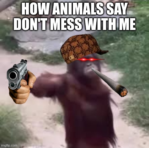 Monkey holding hand out | HOW ANIMALS SAY DON'T MESS WITH ME | image tagged in monkey holding hand out | made w/ Imgflip meme maker
