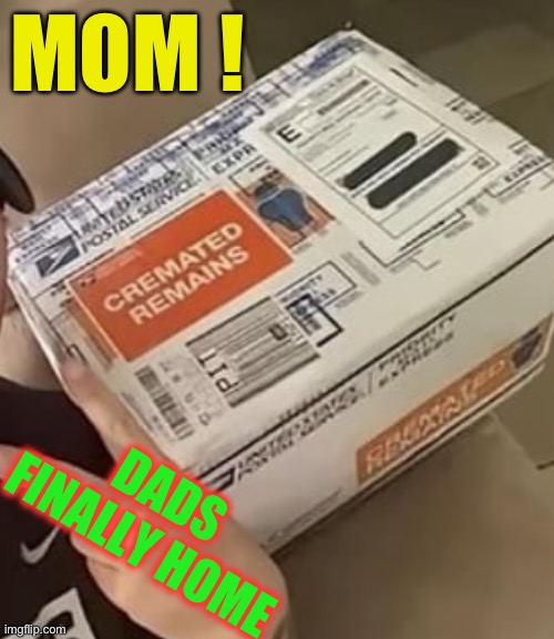 Absent. | MOM ! DADS FINALLY HOME | image tagged in cremation,death,went for a long walk,unexpected,dark humour | made w/ Imgflip meme maker