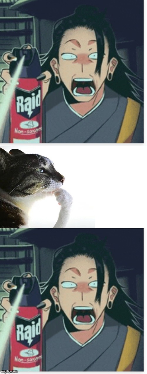 image tagged in geto raid spray,thinker | made w/ Imgflip meme maker