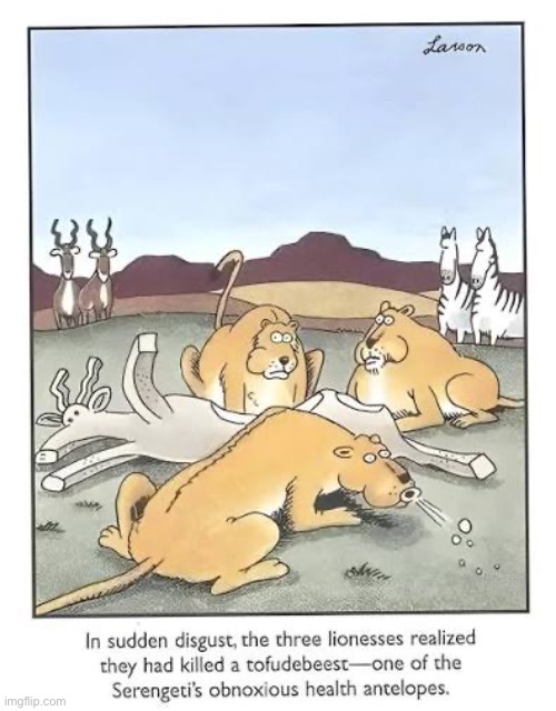 They’ll get their revenge… eventually | image tagged in the far side,comics,lionesses,antelope,tofu | made w/ Imgflip meme maker