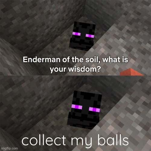 Enderman of the soil | collect my balls | image tagged in enderman of the soil | made w/ Imgflip meme maker