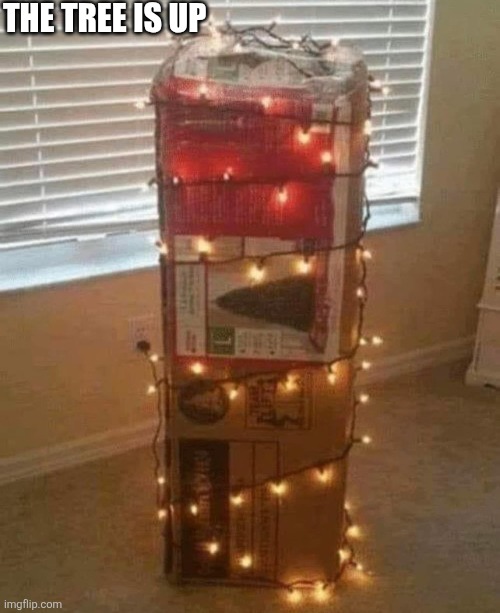 The Tree Is Up | THE TREE IS UP | image tagged in chrisjoines1 | made w/ Imgflip meme maker