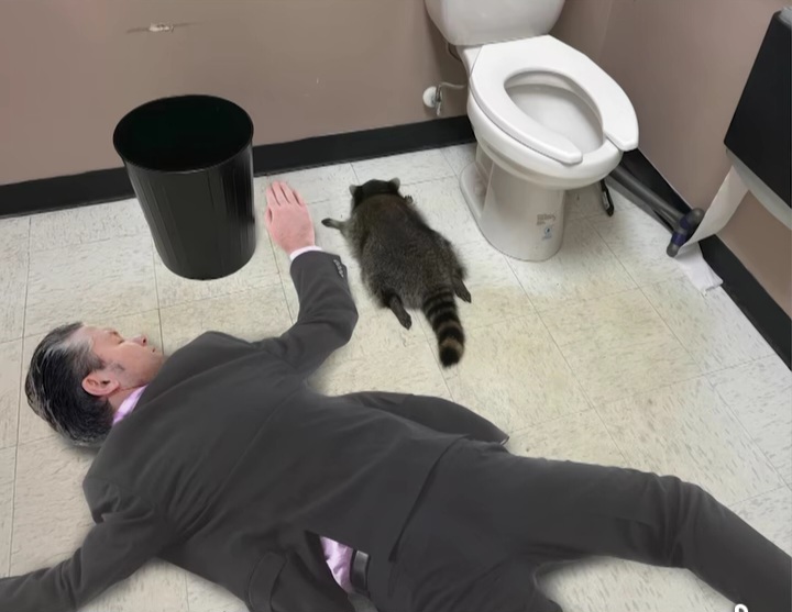 Pete Hegseth with the Drunken Raccoon Blank Meme Template