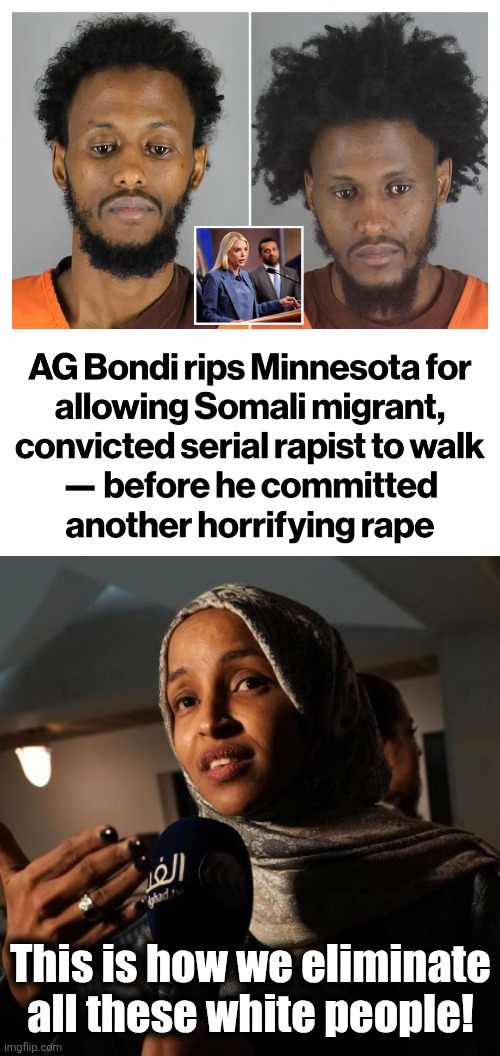 It's just part of the plan | This is how we eliminate
all these white people! | image tagged in memes,democrats,crime,somalis,corruption,white people | made w/ Imgflip meme maker