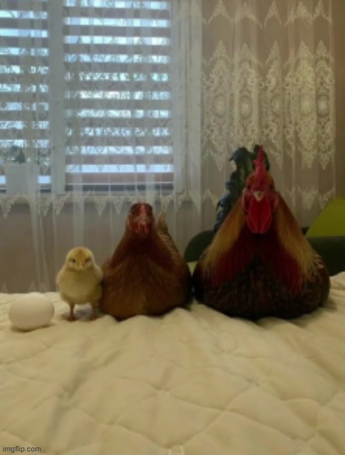 chicky | made w/ Imgflip meme maker