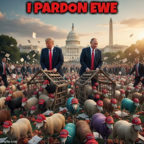 I PARDON EWE | MAGA IS A TERRORIST ORGANIZATION I PARDON EWE | image tagged in pardon,presidental pardon,trump,putin,maga,terrorist | made w/ Imgflip meme maker