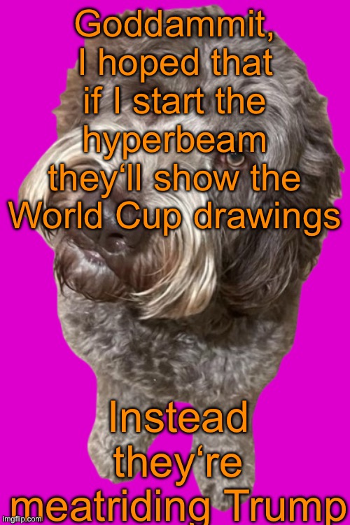 Northers Dog (Transparent) | Goddammit, I hoped that if I start the hyperbeam they‘ll show the World Cup drawings; Instead they‘re meatriding Trump | image tagged in northers dog transparent | made w/ Imgflip meme maker
