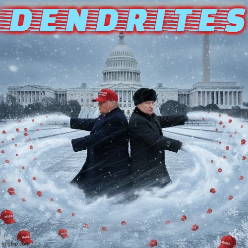 DENDRITES | DENDRITES; MAGA IS A RACIST HOMOPHOBIC TERRORIST ORGANIZATION | image tagged in dendrites,snowflake,trump,putin,maga,terrorist | made w/ Imgflip meme maker