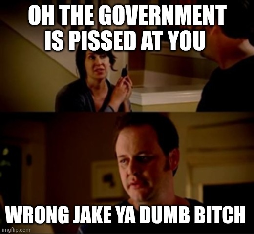 Jake from state farm | OH THE GOVERNMENT IS PISSED AT YOU WRONG JAKE YA DUMB BITCH | image tagged in jake from state farm | made w/ Imgflip meme maker