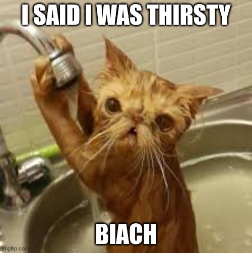 why?!?! | I SAID I WAS THIRSTY; BIACH | image tagged in memes | made w/ Imgflip meme maker