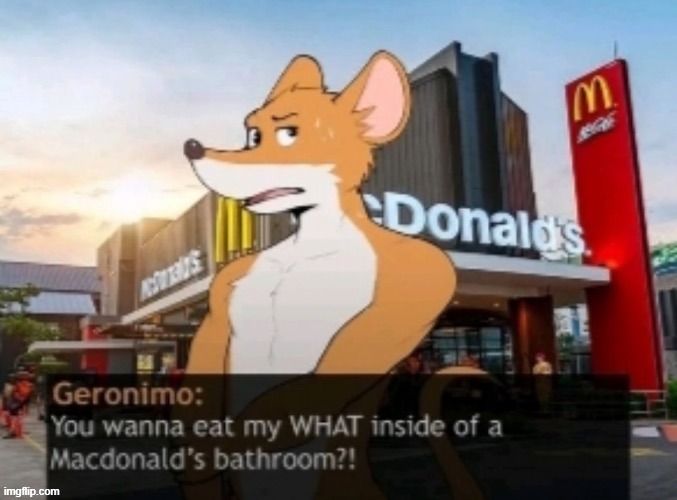 You want to eat my WHAT inside of a macdonals bathroom?! | image tagged in you want to eat my what inside of a macdonals bathroom | made w/ Imgflip meme maker
