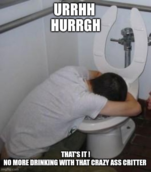 Drunk puking toilet | URRHH 
HURRGH THAT'S IT !
NO MORE DRINKING WITH THAT CRAZY ASS CRITTER | image tagged in drunk puking toilet | made w/ Imgflip meme maker