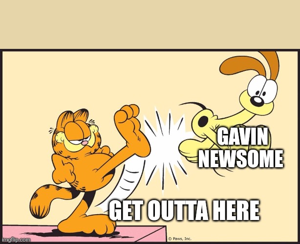 Garfield kicking odie | GET OUTTA HERE GAVIN NEWSOME | image tagged in garfield kicking odie | made w/ Imgflip meme maker