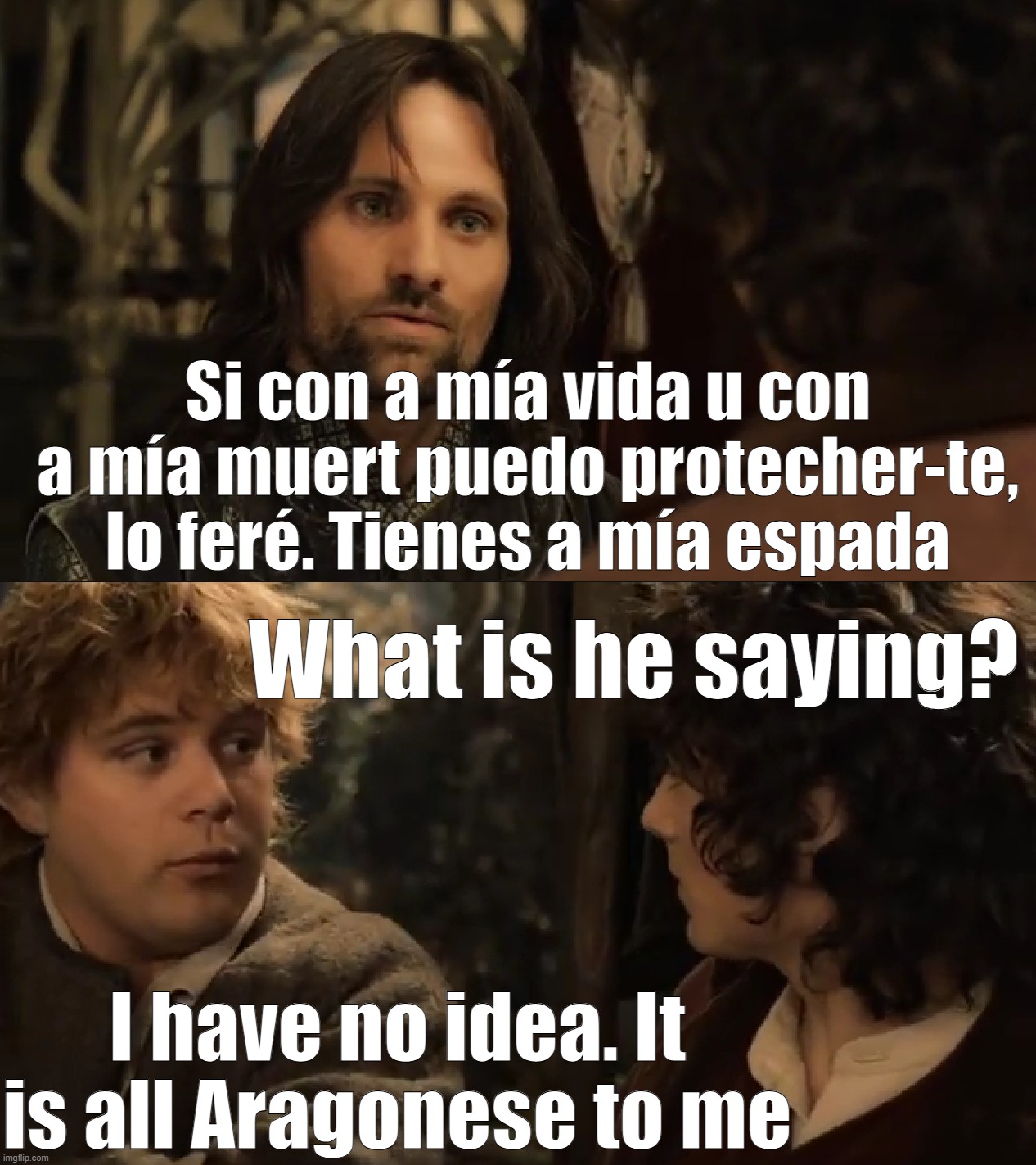 Translation problems | Si con a mía vida u con a mía muert puedo protecher-te, lo feré. Tienes a mía espada; What is he saying? I have no idea. It is all Aragonese to me | image tagged in lord of the rings,aragorn,language,frodo | made w/ Imgflip meme maker