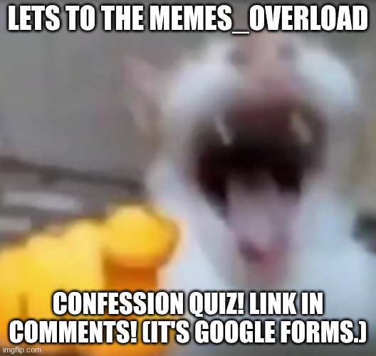 confession forms | LETS TO THE MEMES_OVERLOAD; CONFESSION QUIZ! LINK IN COMMENTS! (IT'S GOOGLE FORMS.) | image tagged in cat pointing and laughing | made w/ Imgflip meme maker