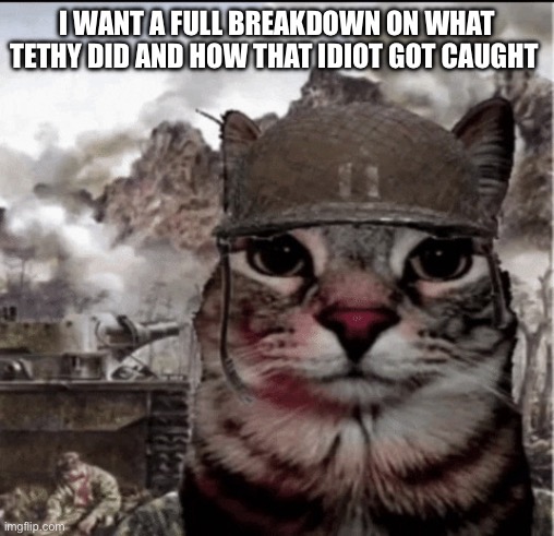 Paragraphs give me paragraphs | I WANT A FULL BREAKDOWN ON WHAT TETHY DID AND HOW THAT IDIOT GOT CAUGHT | image tagged in thousand yard stare cat | made w/ Imgflip meme maker