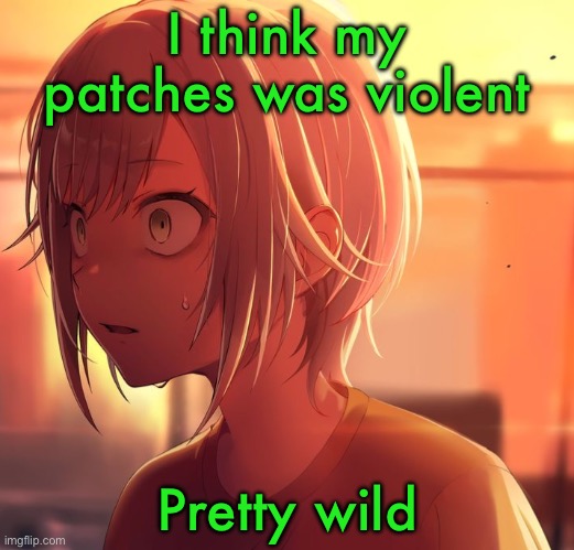 Shiho Mizu5 | I think my patches was violent; Pretty wild | image tagged in shiho mizu5 | made w/ Imgflip meme maker