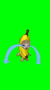 boby Blank Meme Template