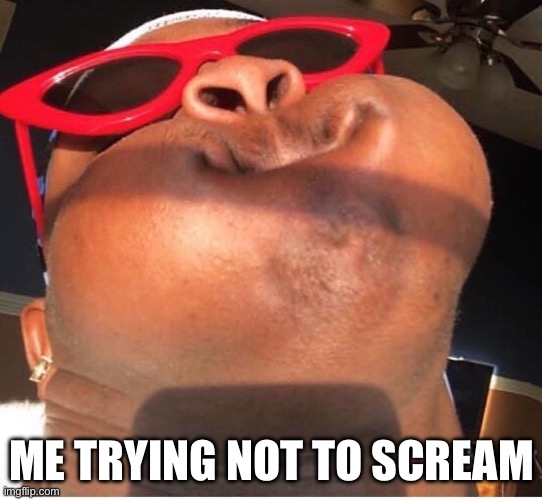 ME TRYING NOT TO SCREAM | image tagged in hold breathe | made w/ Imgflip meme maker