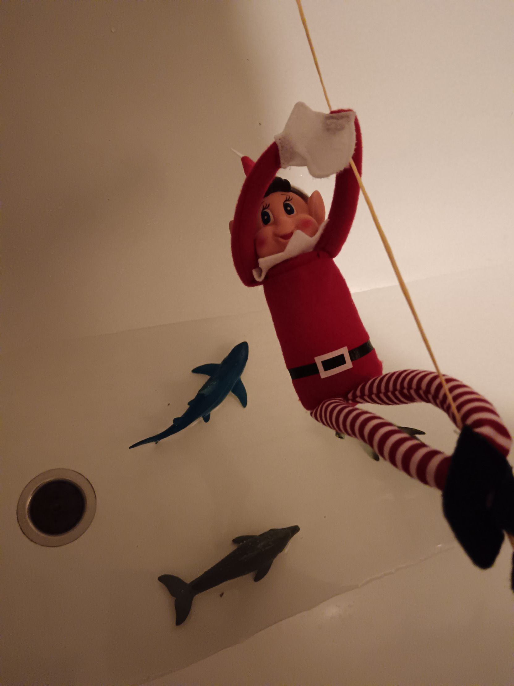 Elf a žraloci Blank Meme Template