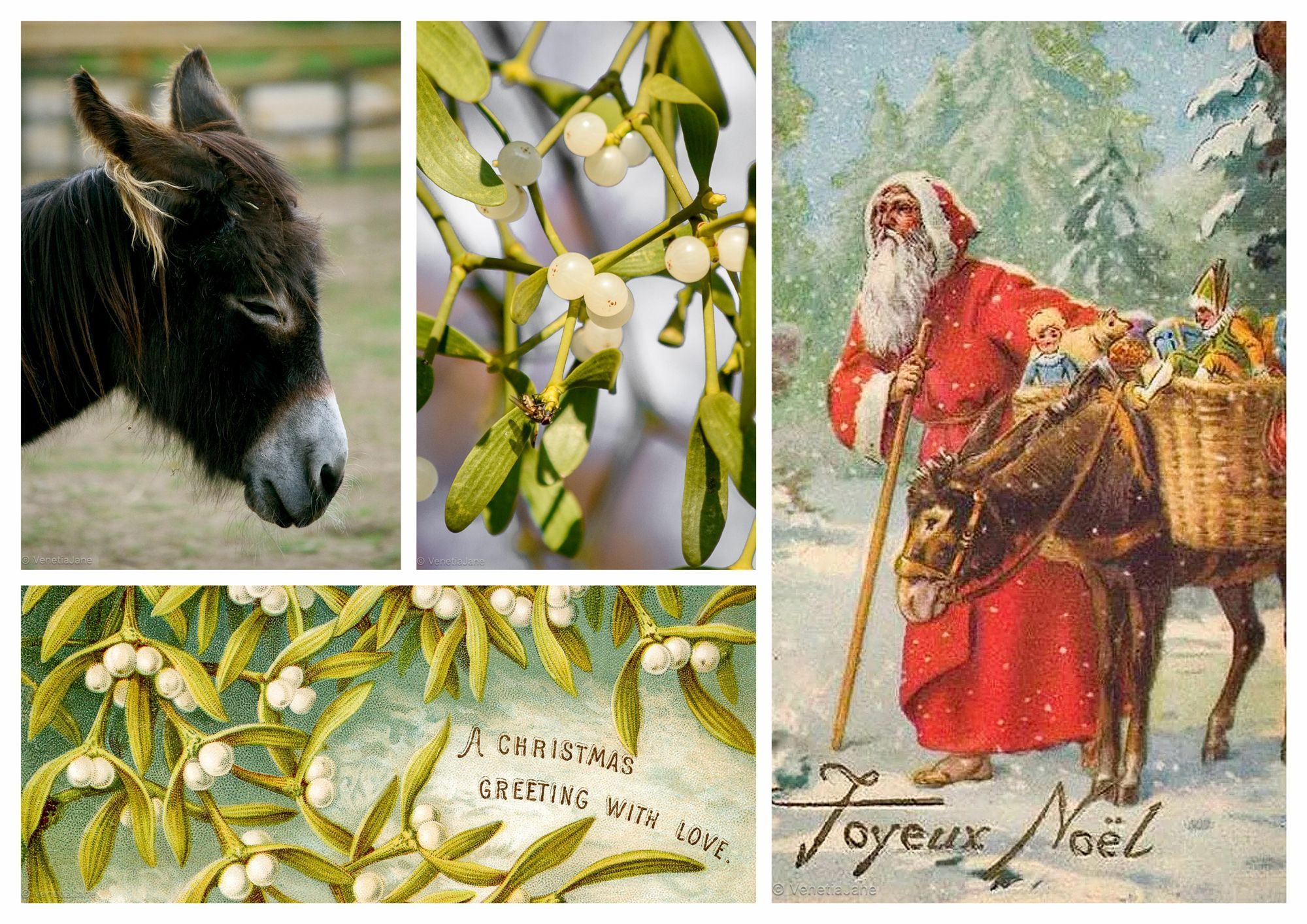 5 December, eve of St Nicholas’s feast day Blank Meme Template