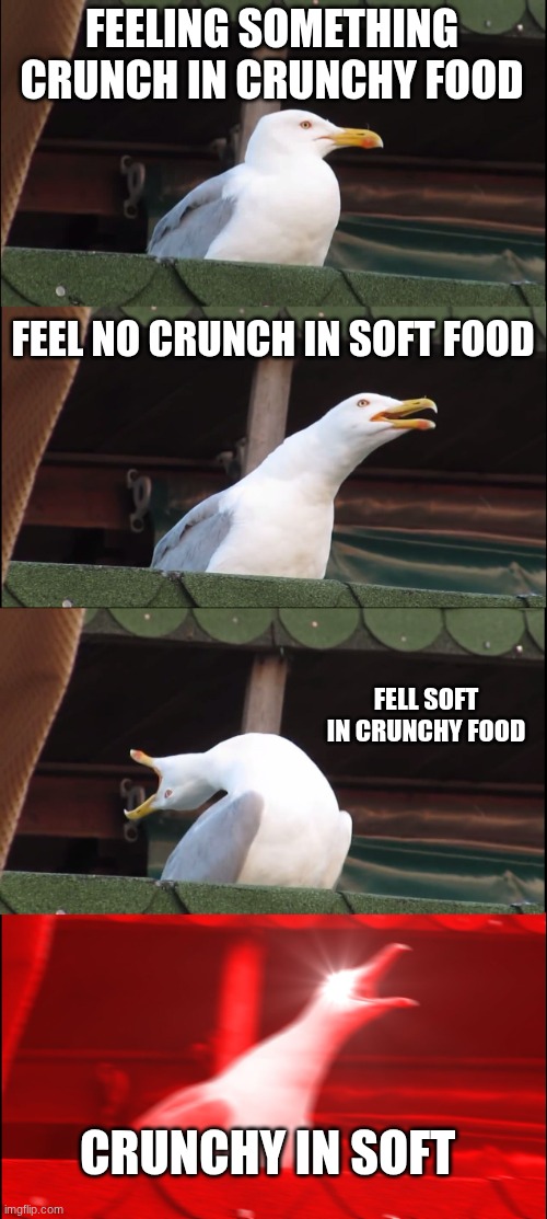 Inhaling Seagull | FEELING SOMETHING CRUNCH IN CRUNCHY FOOD; FEEL NO CRUNCH IN SOFT FOOD; FELL SOFT IN CRUNCHY FOOD; CRUNCHY IN SOFT | image tagged in memes,inhaling seagull | made w/ Imgflip meme maker