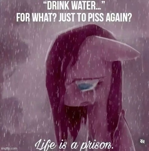 drink water... for what? just to piss again? life is a prison | image tagged in drink water for what just to piss again life is a prison | made w/ Imgflip meme maker