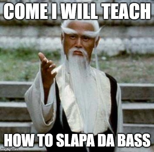 Bass meme | COME I WILL TEACH; HOW TO SLAPA DA BASS | image tagged in kung fu master | made w/ Imgflip meme maker