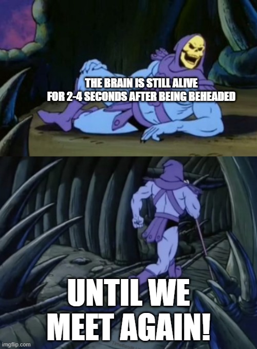 Disturbing Facts Skeletor | THE BRAIN IS STILL ALIVE FOR 2-4 SECONDS AFTER BEING BEHEADED; UNTIL WE MEET AGAIN! | image tagged in disturbing facts skeletor | made w/ Imgflip meme maker