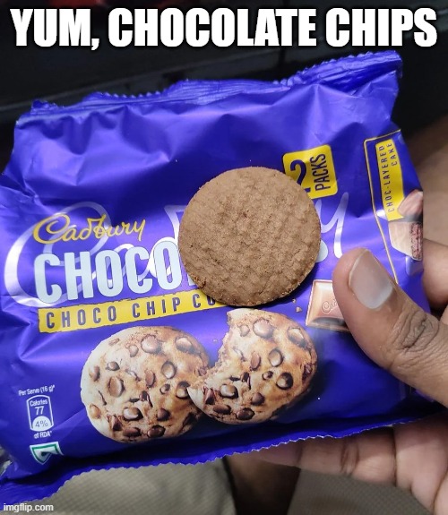 Chocolate Chip Cookie | YUM, CHOCOLATE CHIPS | image tagged in you had one job | made w/ Imgflip meme maker