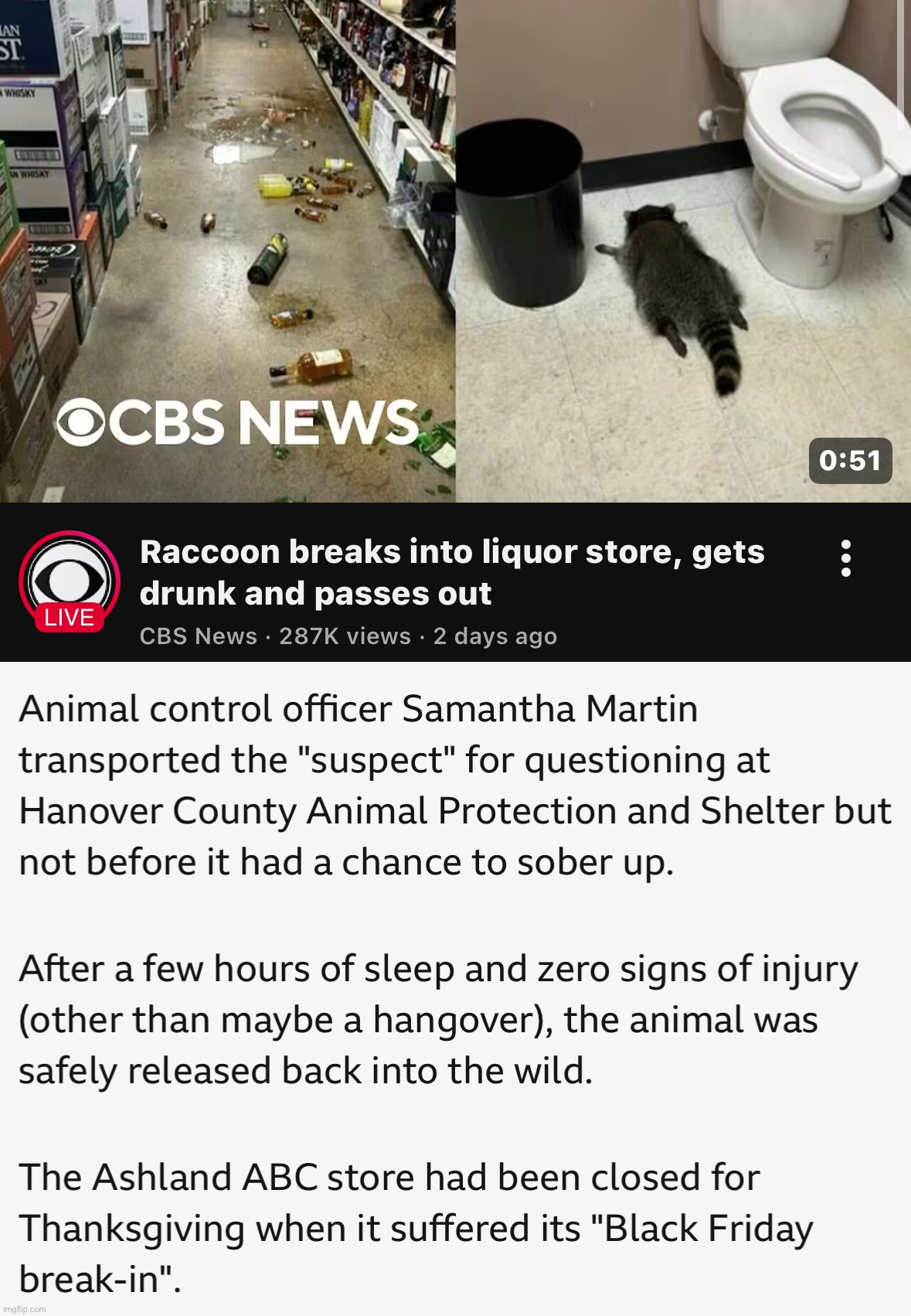 Imagine interrogating a fucking, hungover as hell raccoon, about this. | made w/ Imgflip meme maker