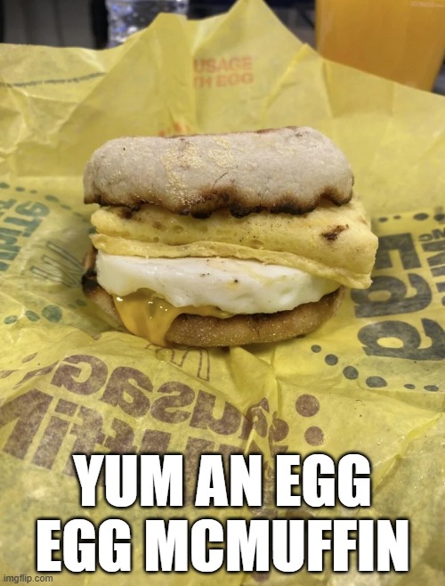 Where My Sausage? | YUM AN EGG EGG MCMUFFIN | image tagged in you had one job | made w/ Imgflip meme maker